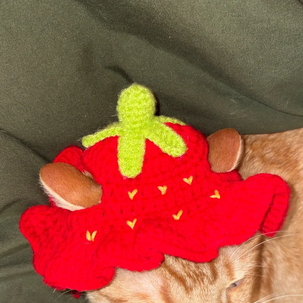 Red Strawberry Cat Knit Hat